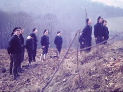 Wöflinge 1968