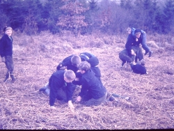 Wöflinge 1968